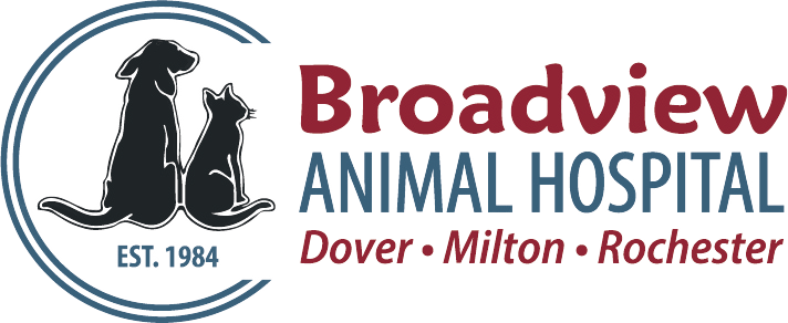 Broadview Animal Hospital